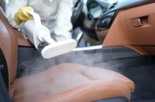Professional Vehicle Sanitization
