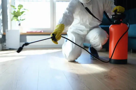 Post-pest sanitation service