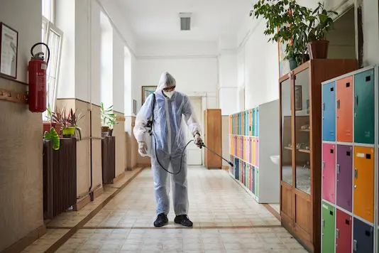 Professional virus disinfection service