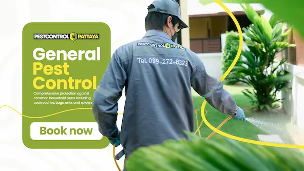 General Pest Control Packages