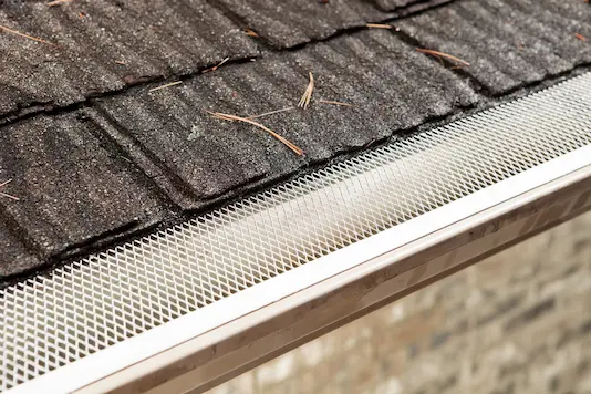 Gutter Protection