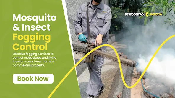 Mosquito & Insect Fogging Packages
