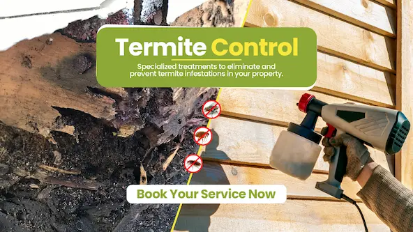 Termite Treatment Packages