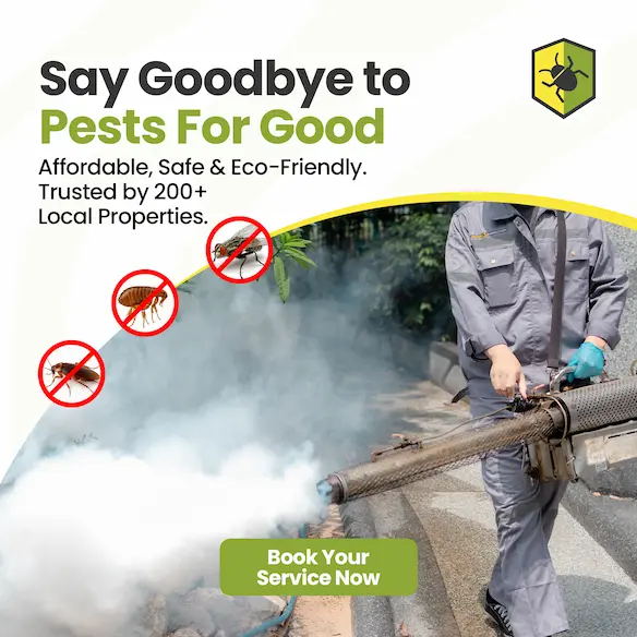 Professional pest control technicians in Pattaya with company vehicle