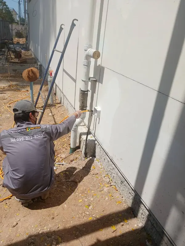 Professional pest control technician installing system